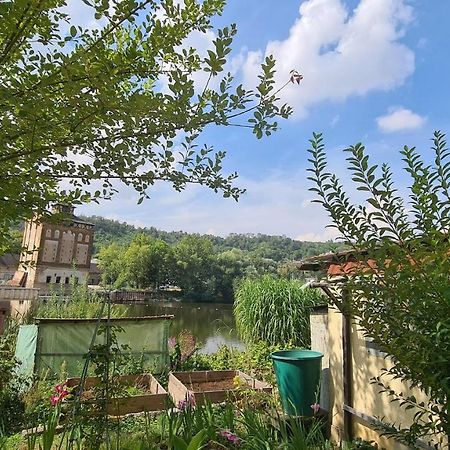 Ferienwohnung Saalemaus Νάουμπουργκ Εξωτερικό φωτογραφία
