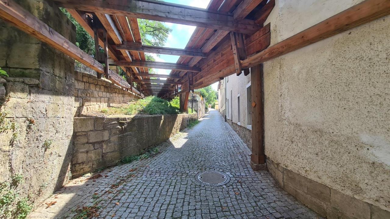 Ferienwohnung Saalemaus Νάουμπουργκ Εξωτερικό φωτογραφία