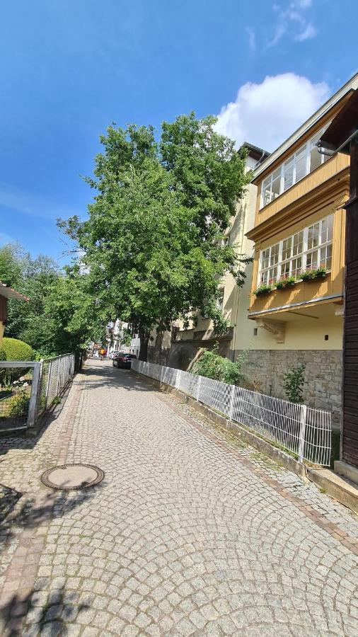 Ferienwohnung Saalemaus Νάουμπουργκ Εξωτερικό φωτογραφία